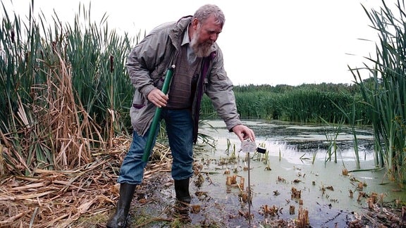 Der Greifswalder Prof. Michael Succow untersucht die Versuchsfläche der Friedländer Wiese/MVP. 