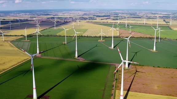 Blick auf eine grünende Landschaft mit vielen Windrädern.