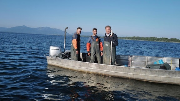 Florian und Tassilo Lex gehören zu den wenigen berufsmäßigen Fischern auf dem Chiemsee. Axel Bulthaupt (re.) 