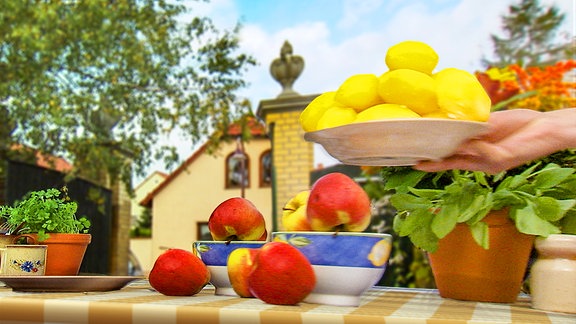 Auf einem Tisch in sommerlicher Stimmung liegen Äpfel und Kräuter. Ein Teller mit gekochten Kartoffeln wird gereicht.
