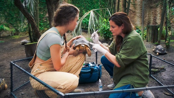 zwei Frauen untersuchen eine Schildkröte