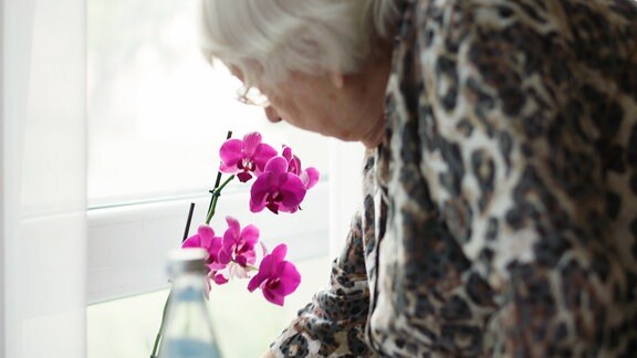 Eine Orchidee und eine alte Frau