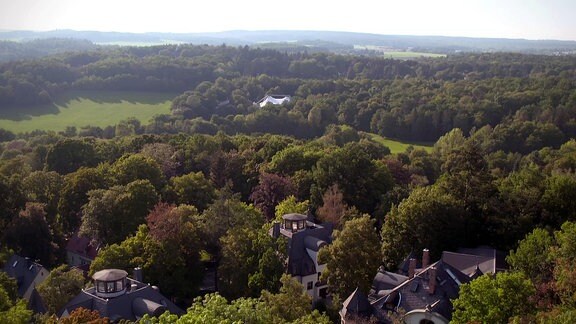 Blick über eine bewaldete Landschaft, mit Wiesen und Häusern dazwischen.