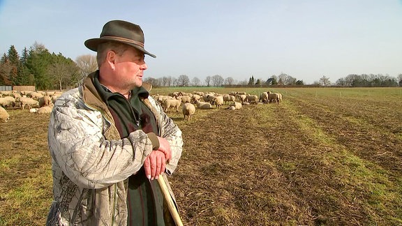 Schäfer mit Herde in der Dübener Heide