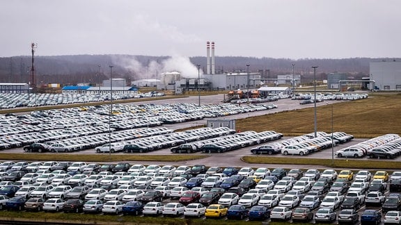 Neue Autos parken in einem Vertriebszentrum 