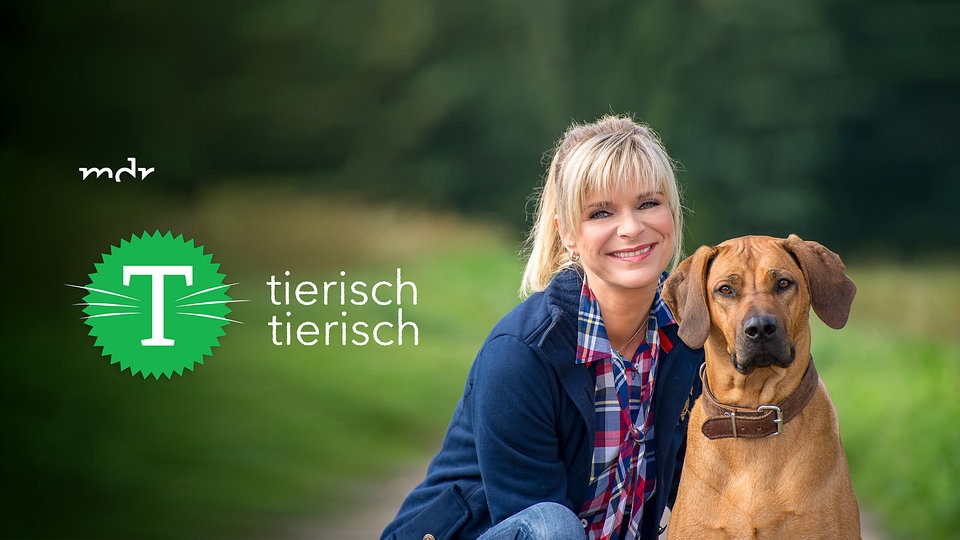 Tierisch.De Tierisch.De