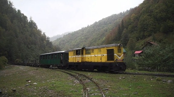 Eine Schmalspurbahn in den Karpaten