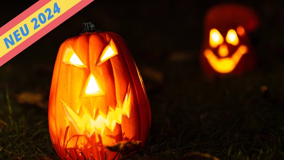 Schaurige Halloween Kürbisse leuchten bei Nacht