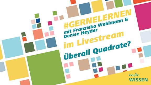 Text - #GERNELERNEN mit Franziska Wehlmann & Denis Heyder im Livestream - neben farbigen Quadraten.
