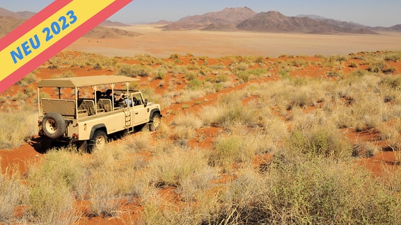Safari-Fahrzeug der Wolwedans Dune Lodge im hohem Gras der Dünenlandschaft