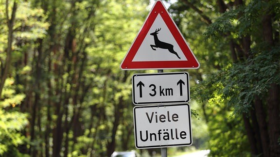 Ein Schild warnt vor vielen Wildunfällen.