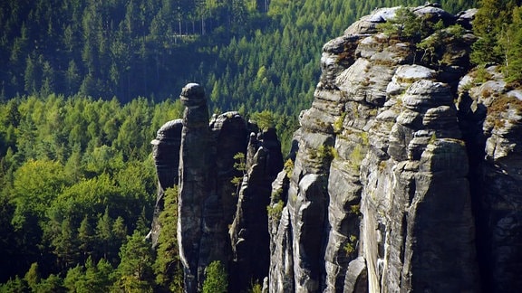 Moderator Axel Bulthaupt zu Besuch in der Sächsisch-Böhmischen Schweiz