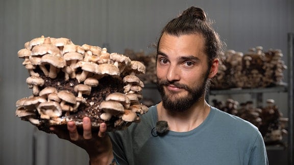 Ein Mann mit vielen Pilzen in der Hand