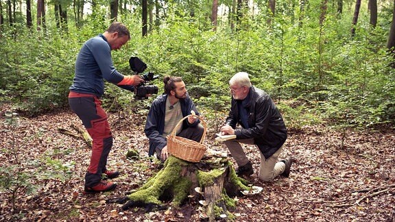 Drei Männer in einem Wald, einer hält eine Kamera