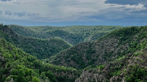 Blick ins Bodetal im Harz, grüne Berge umgeben das Tal, der Himmel ist bewölkt und grau.  