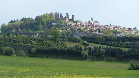 Im frischen Birkengrün entfaltet Burg Stolpen besonders schön ihre Wirkung.