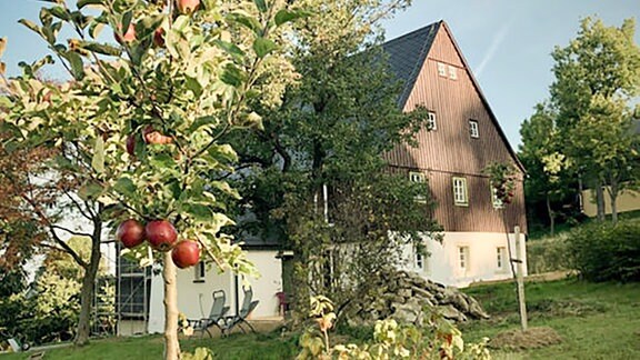 Haus mit Apfelbaum