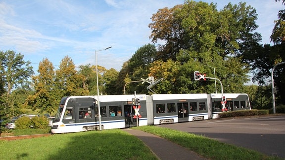 eine moderne Straßenbahn fährt über einen Bahnübergang