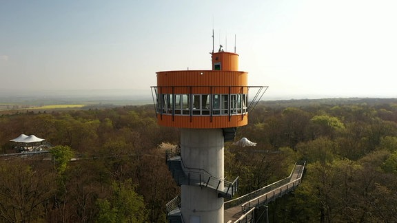 Turm im Laubwald