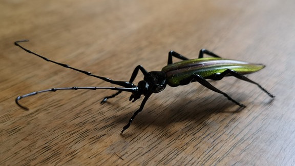 ein grüner Käfer aus Glas