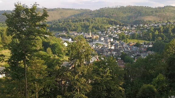 Blick von einem Hügel auf viele mit Schiefer gedeckte Häuser in Steinach