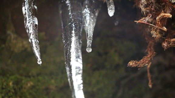 Eiszapfen hängen ins Bild