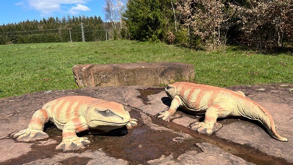 Zwei Ursaurier auf einem Stein