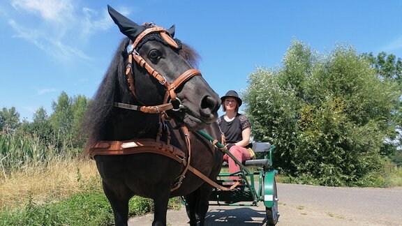 Pony Pittie mit Besitzerin Antje vor einem Maisfeld.