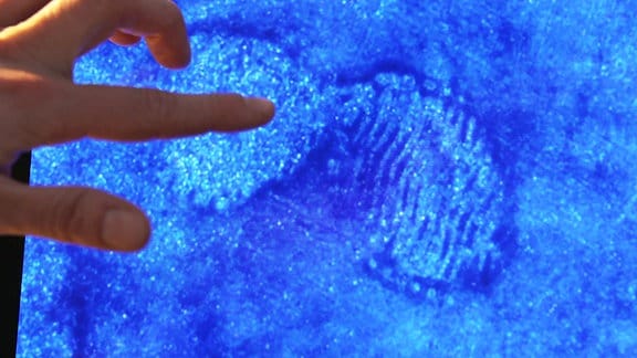 Ein Finger deutet auf ein bläuliches Bild auf einem Computer, auf dem ein Fußabdruck zu erkennen ist. 