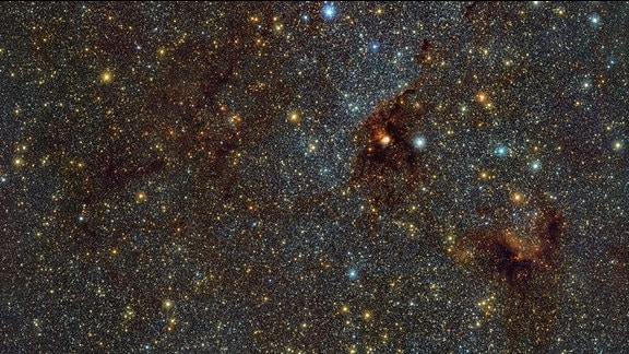 Dies ist ein Infrarotbild von NGC 6188, auch bekannt als der Feuervogel-Nebel, der sich etwa 4100 Lichtjahre entfernt im Sternbild Ara befindet. Diese Gaswolke beherbergt einen Sternhaufen junger Sterne namens NGC 6193. 