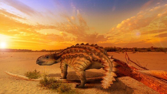 3D-Modell: Sonnenuntergangsstimmung in Steppenlandschaft. Dinosaurier mit spitzer, gebogener Schnauze, zackigem Rückenpanzer und Schwanz mit breitem Ende steht neben Grasbüscheln.