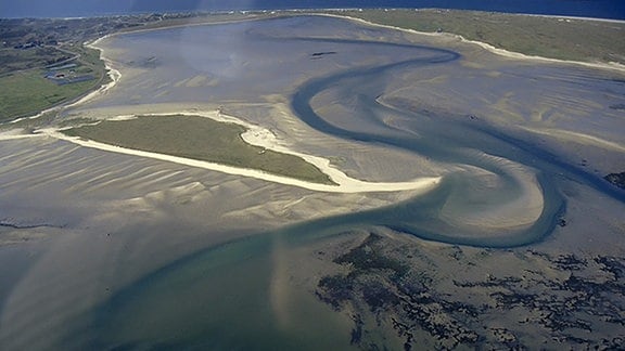 Königshafen auf Sylt, dem Hauptexperimentierfeld der Wattenmeerstation.