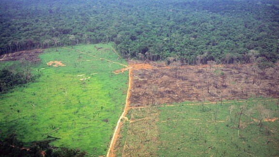 Luftaufnahme von teilweise entwaldetem Land mit etabliertem Grasland, neu verbranntem Land und Regenwald.
