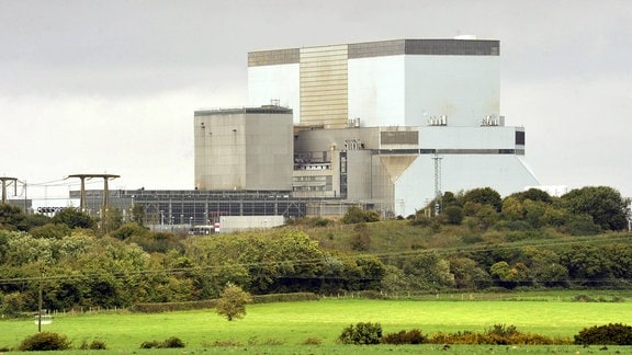 Atomkraftwerk Hinkley Point: Große, quader-förmige Gebäude, davor Wiese und Bäume.