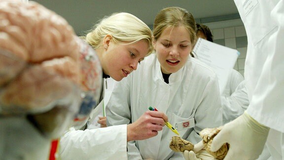 Eine Gruppe Medizinstudenten beim Sezieren eines Gehirns