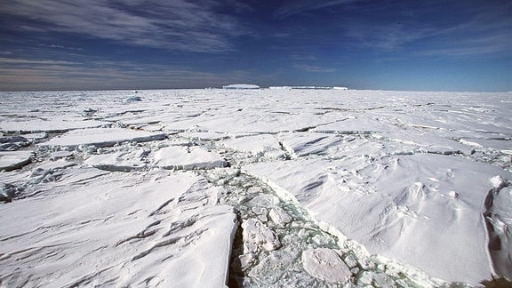Treibeis im polarmeer