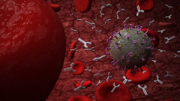 3d-Illustration von Antikörper gegen das Coronavirus