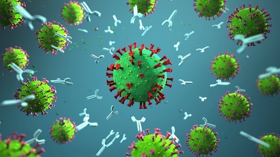 3d-Illustration Antikröper gegen Coronavirus