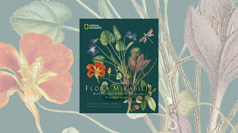 Buchempfehlung Flora Mirabilis MDR.DE
