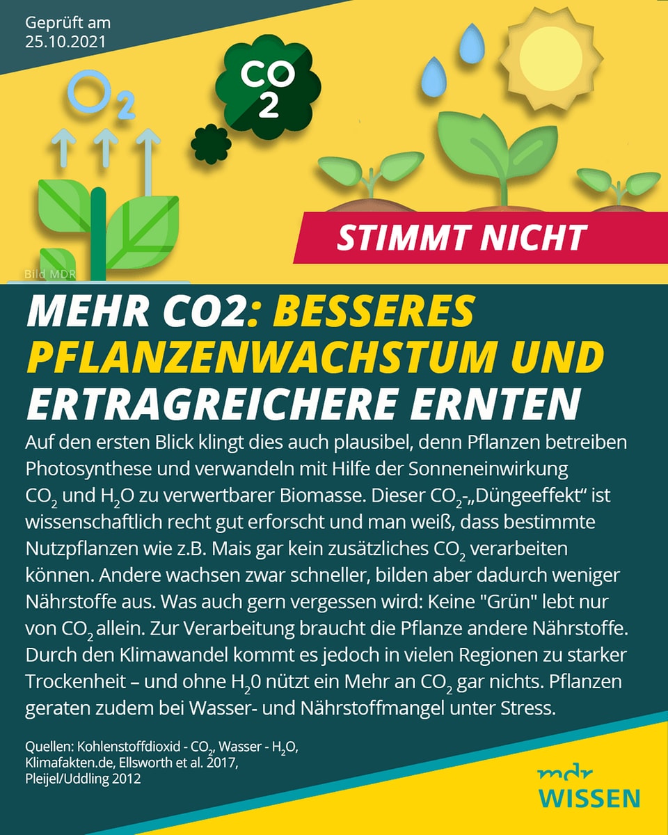 Kann grinsend Zone co2 leichter oder schwerer als luft Dienstag Gewinner Tofu Kann grinsend Zone co2 leichter oder schwerer als luft Dienstag Gewinner Tofu
