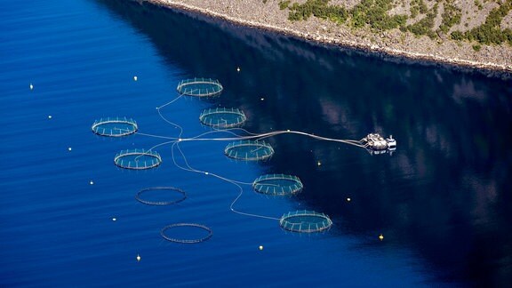 Aquakultur zur Lachszucht in einem Fjord in Norwegen