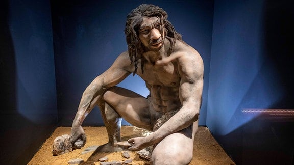 Homo heidelbergensis