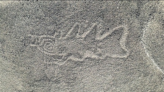 Eine 22 Meter lange reliefartige Geoglyphe, die einen Killerwal mit einem Messer in der Hand darstellt. Im Süden von Peru haben Wissenschaftler Hunderte bislang unbekannter Scharrbilder entdeckt.