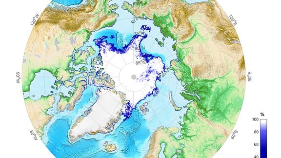 Arktiseisausdehnung