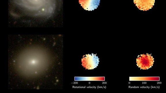 Ein Vergleich einer jungen (oben) und einer alten (unten) Galaxie. Die Felder links sind normale optische Bilder vom Subaru-Teleskop. Mittig sind Karten der Rotationsgeschwindigkeit (blau, wenn sie auf uns zukommt, rot, wenn sie von uns weggeht) von der SAMI-Galaxiendurchmusterung. Rechts sind Karten zur Messung von Zufallsgeschwindigkeiten (rötliche Farben für größere Zufallsgeschwindigkeiten). Beide Galaxien haben die gleiche Gesamtmasse.