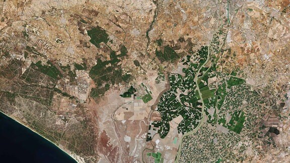 Sentinel-2C-Satellitenaufnahme von Sevilla