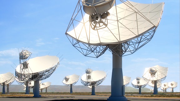 Computergrafik des geplanten Radioteleskops Square Kilometre Array in Südafrika
