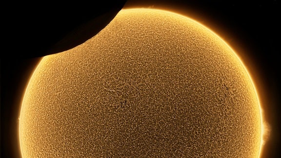 Kategorie: Unsere Sonne  Partielle Sonnenfinsternis in H-alpha © Alessandro Ravagnin  Eine partielle Sonnenfinsternis, aufgenommen in der Region Venetien in Italien, als sie am 10. Juni 2021 ihren Höhepunkt erreichte. Es war ein Tag mit geringer Sonnenaktivität, was dieses scharfe Bild des Mondes vor der Sonne ermöglichte.   Aufgenommen mit der QHYCCD QHYCCD183C Kamera unter Verwendung eines gekühlten Canon 200 mm f/4 mit einem Daystar Quark Prominence Objektiv  Standort: Romano d'Ezzelino, Venetien, Italien 