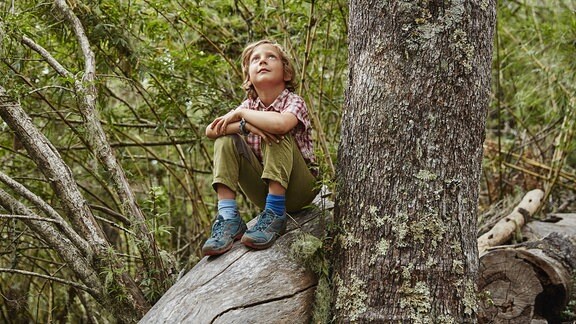 Junge sitzt im Wad auf einem Baumstamm