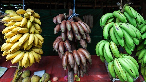 Obststand mit Bananen